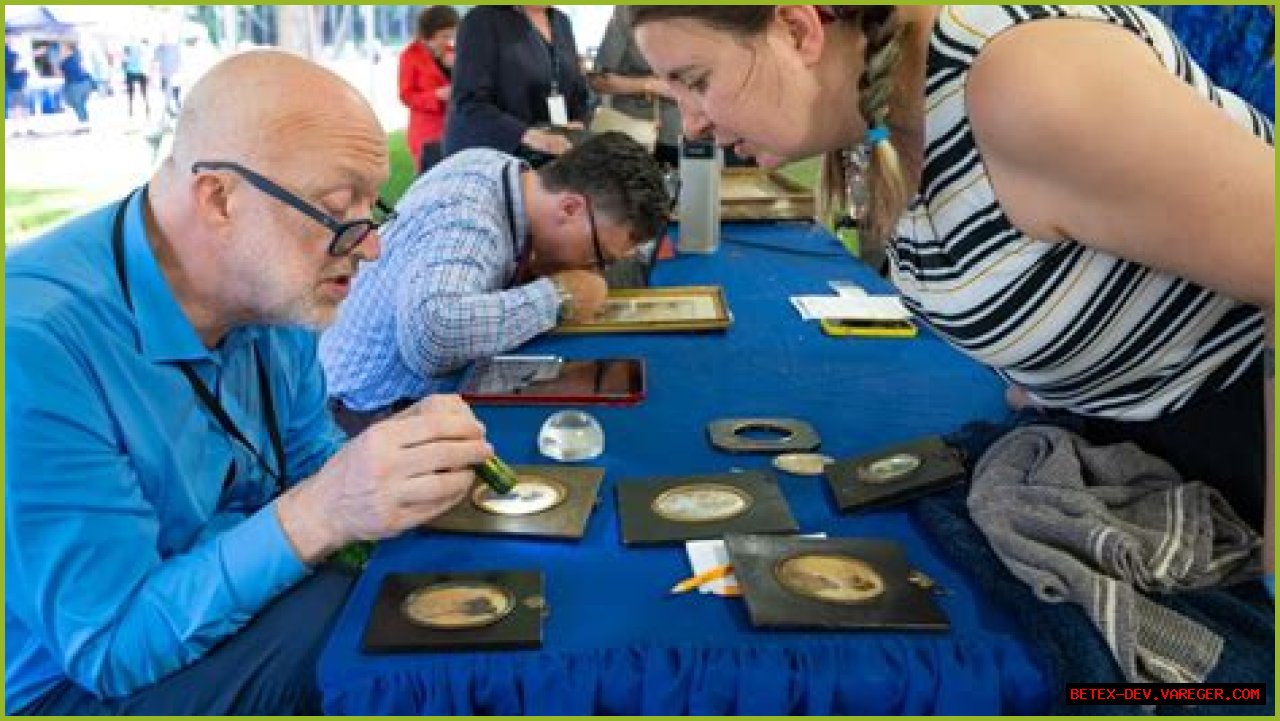 Frank On Antique Roadshow: A Journey Through Time And Treasures
