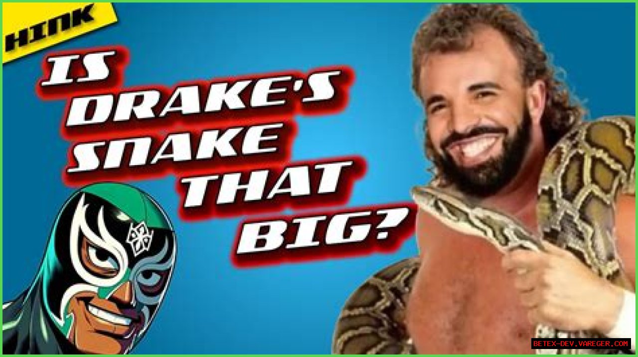 Understanding Drakescans: A Comprehensive Guide